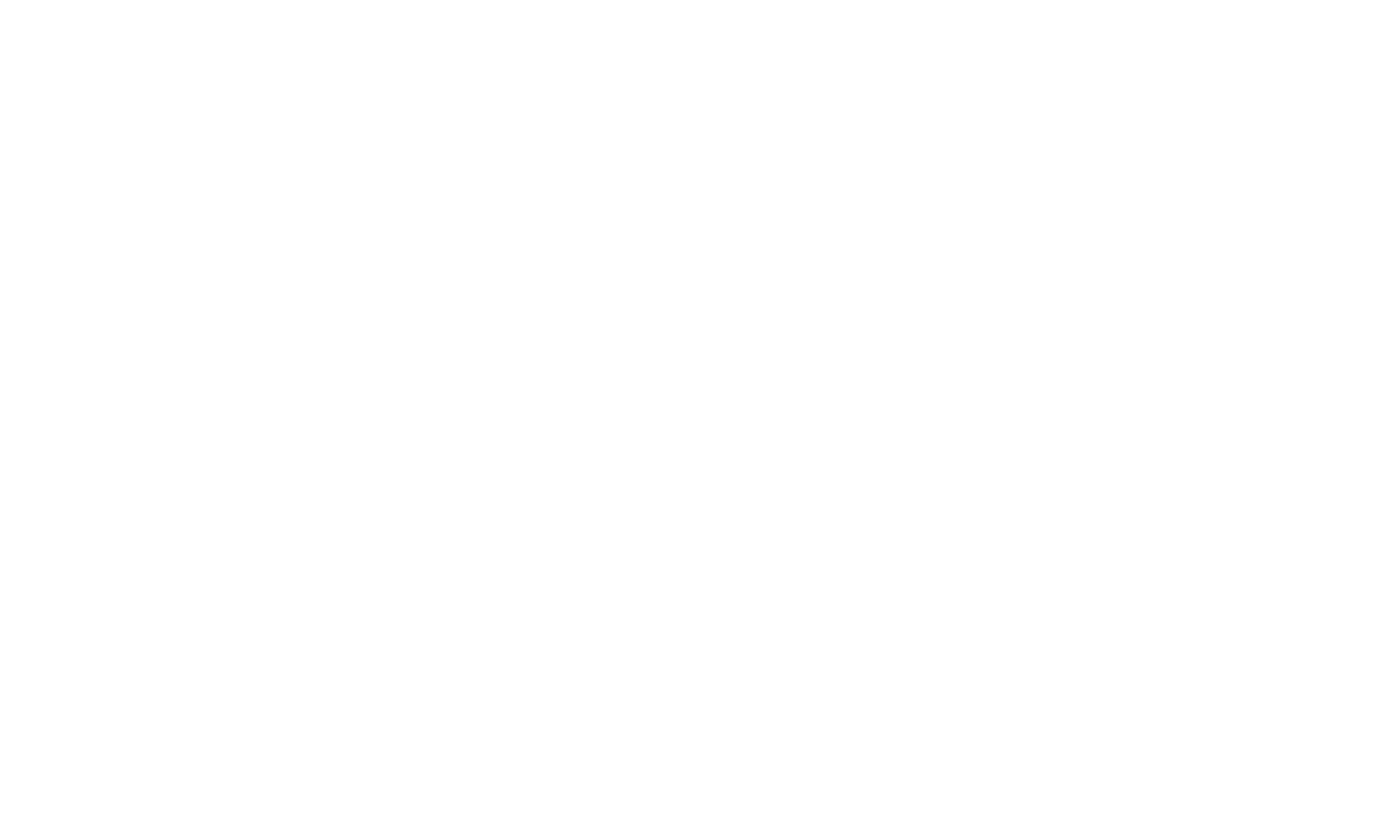 Logo Nexus 2022 white
